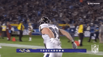 2018 Nfl Football GIF by NFL