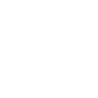 Fruit Pineapple Sticker by Visit Sunshine Coast