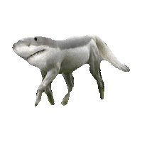 shark STICKER by imoji