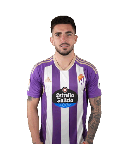 Football Soccer Sticker by Real Valladolid