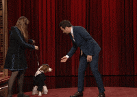 Dog Dogtricks GIF by The Tonight Show Starring Jimmy Fallon