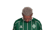 Werder Bremen Sticker by Bundesliga
