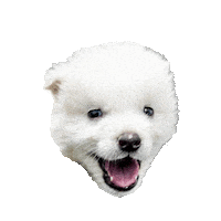 Dire Wolf Puppy Sticker by Colossal