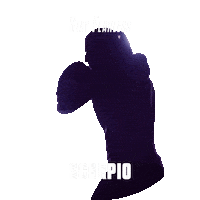 Zodiac Sign Sticker by Sealed With A GIF