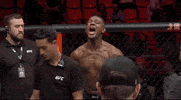 Sport Yell GIF by UFC