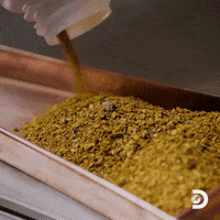 Todd Hoffman Gold GIF by Discovery