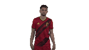 Red Devils Football Sticker by Royal Belgian FA