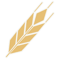 Football Kk Sticker by koloskovalivka