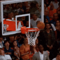 New York Knicks Tip GIF