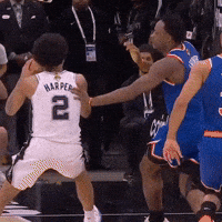 New York Knicks Block GIF