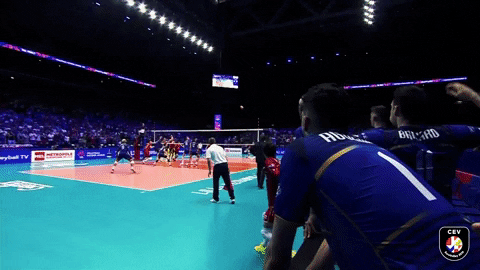 volleyball volley GIF by EuroVolley2019Fr