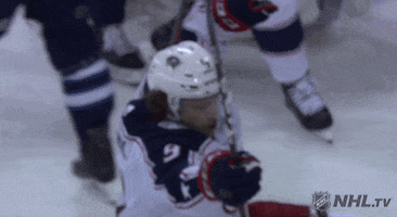 happy ice hockey GIF by NHL