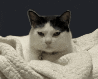 Negative Reaction Judging GIF