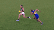 Goal Speed GIF by Port Adelaide FC