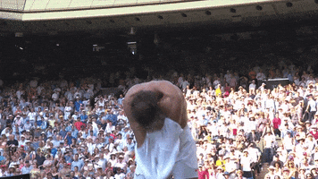 centre court tennis GIF by Wimbledon