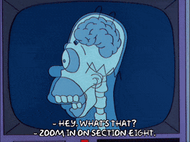 homer simpson GIF