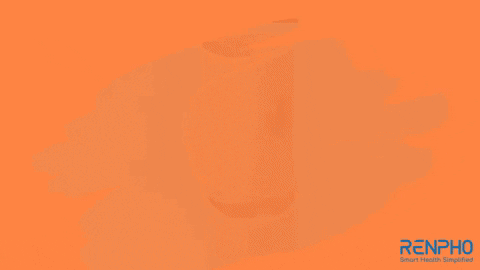 Fitness Health GIF by RENPHO