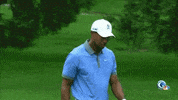 dustin johnson no GIF