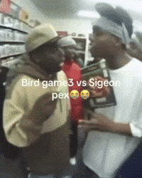 Bird GIF