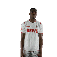 Fc Cologne Bundesliga Sticker by 1. FC Köln
