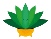 tomaszgsior nature green plant aloes Sticker