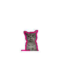 Cat Sticker by Deutsche Telekom