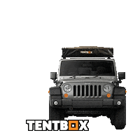 Lite Camping Sticker by TentBox