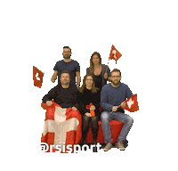 Football Win Sticker by Radiotelevisione svizzera (RSI)