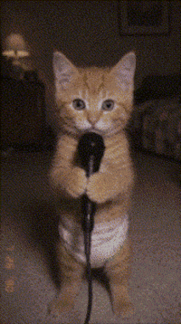 Look At Me Hello GIF