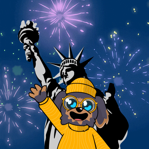 United States Usa GIF by BoDoggos