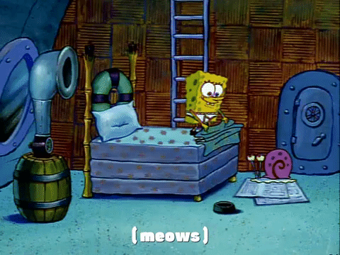 season 1 episode 3 GIF by SpongeBob SquarePants