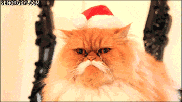 Santa Claus Cat GIF