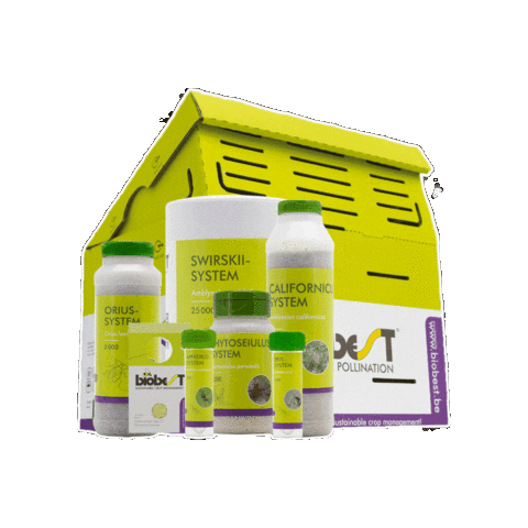 Biobest giphygifmaker insectos abejorro biobest Sticker