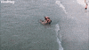Huge Goliath Grouper Caught At Fishing Pier GIF by ViralHog