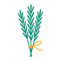 Cultura Botijo Sticker by DDCC