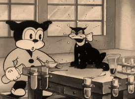fleischerstudios hot cat halloween retro GIF