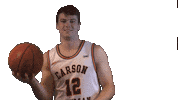 Spin Autograph Sticker by Carson-Newman Athletics