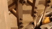 how its made GIF by HuffPost