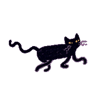 Black Cat Sticker by Flying Eye Books