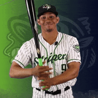 swing smile GIF by Gwinnett Stripers