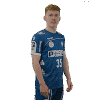 Handball Faust Sticker by DAIKIN HBL