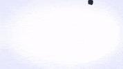 Diversification GIF