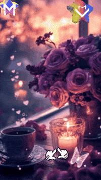 Amigos Descansa GIF by Murcianys LLC