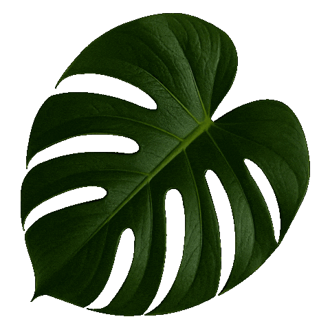 Flourishing Design Center Sticker by DTI Design Center of the Philippines