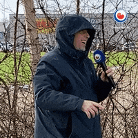 Storm Hurricane GIF by Omrop Fryslân