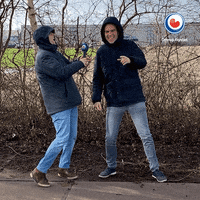 Storm Hurricane GIF by Omrop Fryslân