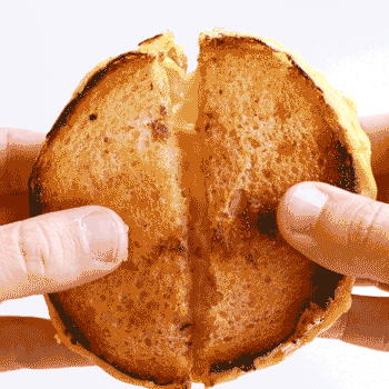 grilled cheese burgerlounge GIF