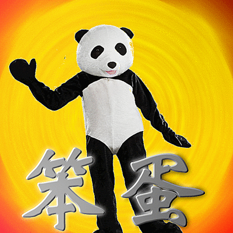 panda bear GIF by Percolate Galactic