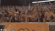 clemsontigers clemson clemsontigers death valley clemsonfb GIF