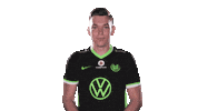E Sports Sport Sticker by VfL Wolfsburg